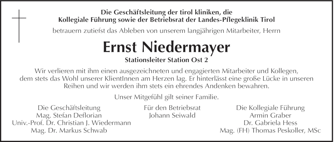 Ernst Niedermayer Bild