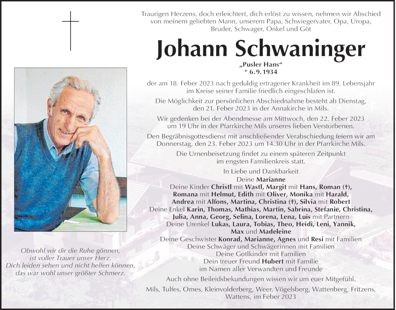 Johann Schwaninger Bild