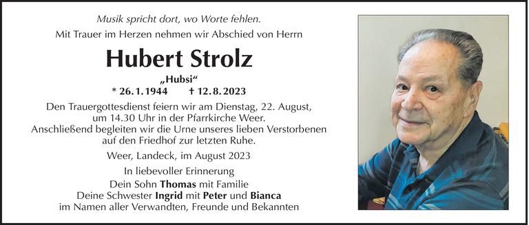 Hubert Strolz Bild