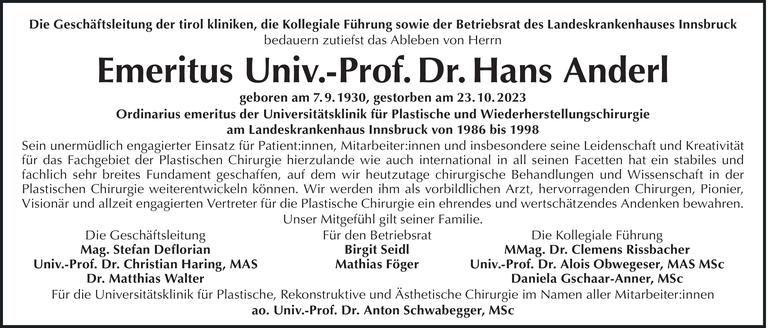 Hans Anderl Bild