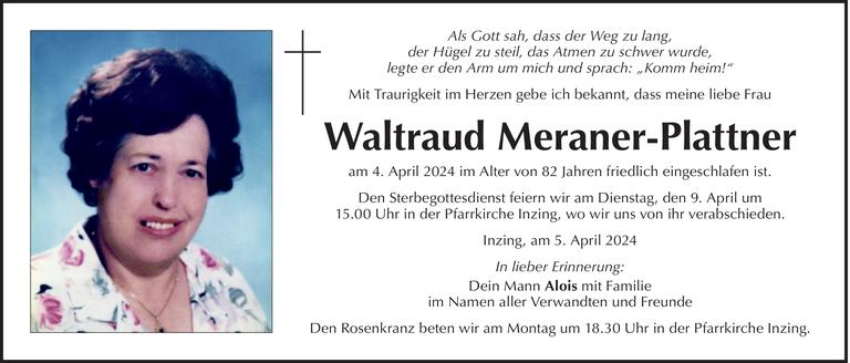 Waltraud Meraner-Plattner Bild