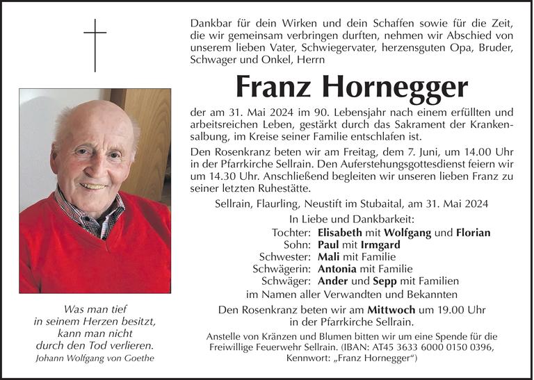 Franz Hornegger Bild