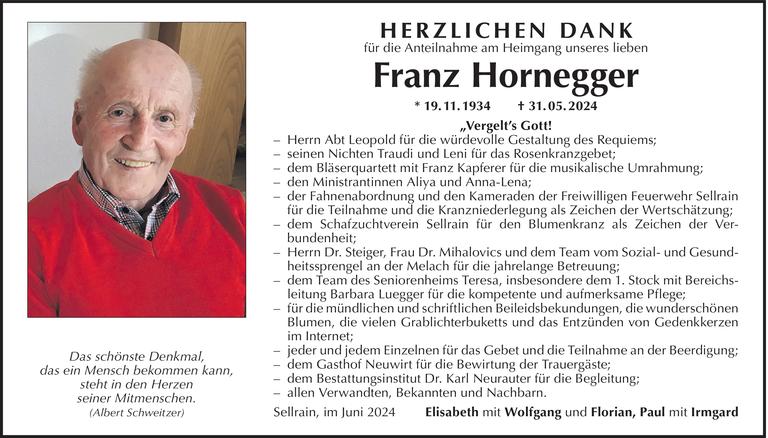 Franz Hornegger Bild