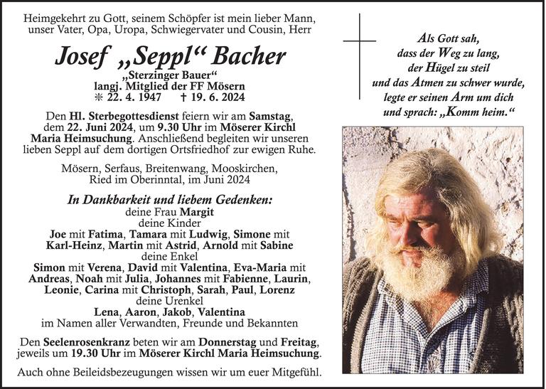 Josef Seppl  Bacher Bild