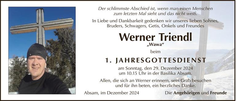 Werner Triendl Bild
