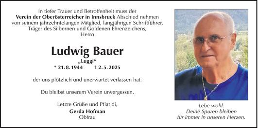 Ludwig Bauer Bild