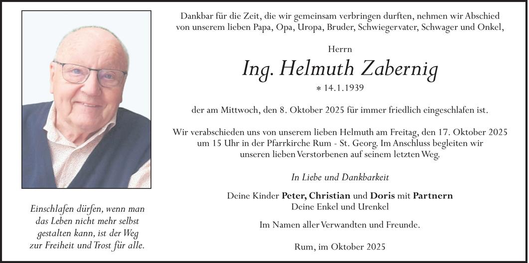 Helmuth Zabernig Bild